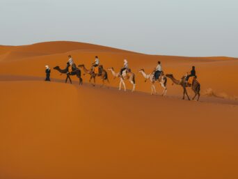 CAMEL TREKKING