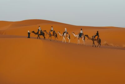 CAMEL TREKKING