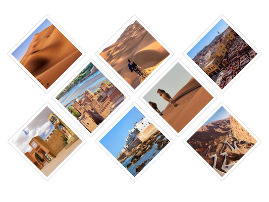 collage-1