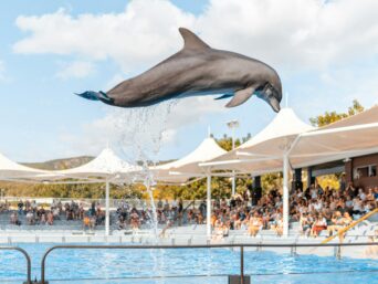 Agadir Dolphin Park