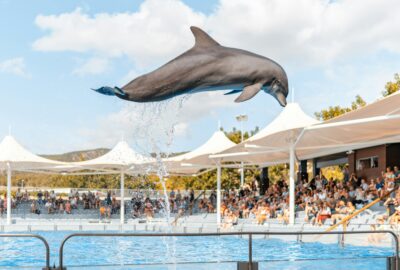 Agadir Dolphin Park