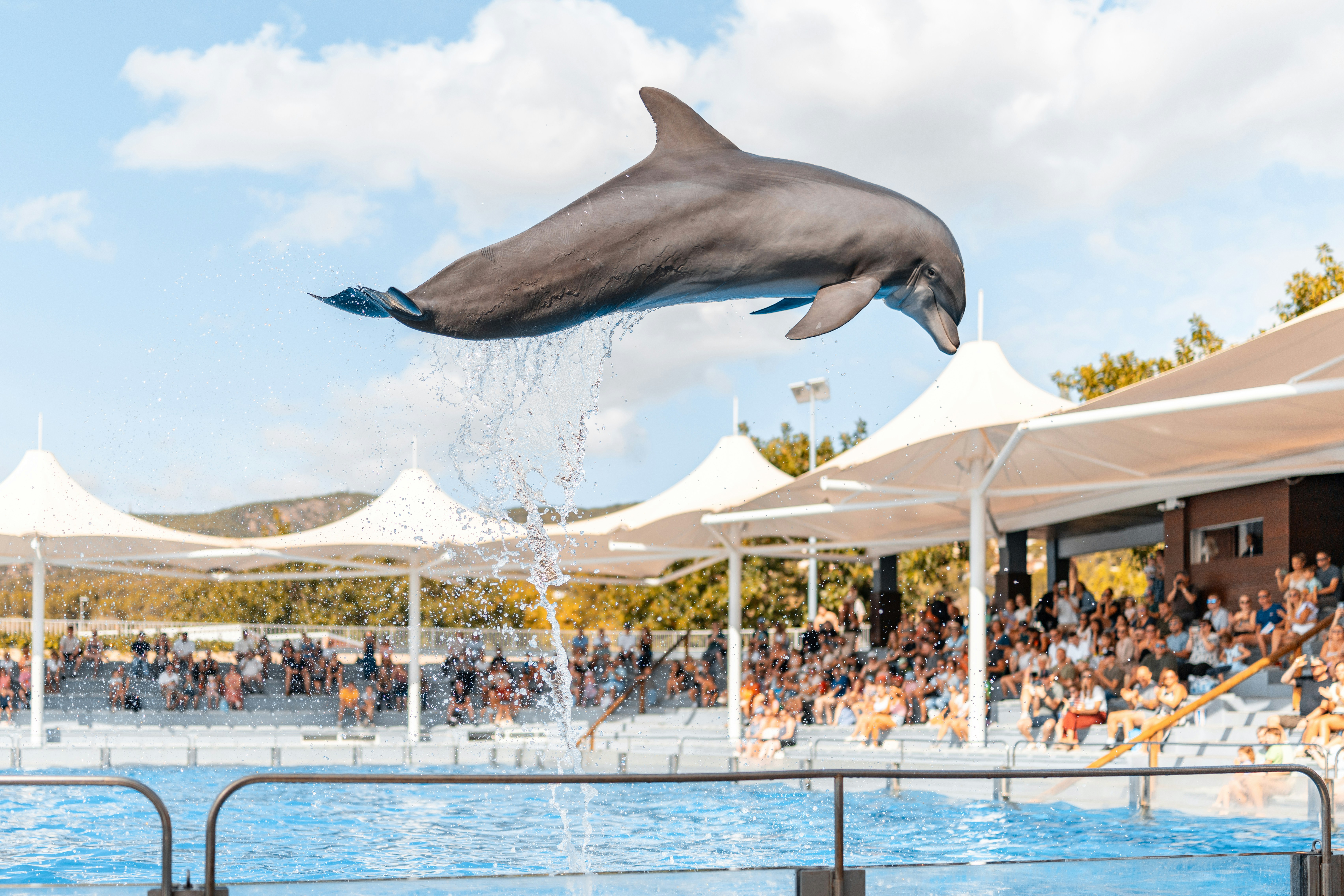 Agadir Dolphin Park