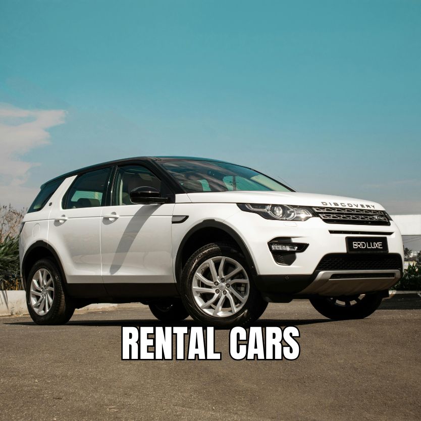 rental cars